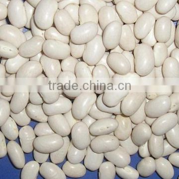 Japanese white beans