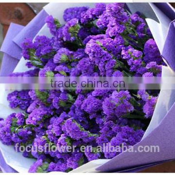 real touch flowers wholesale cut flowers statice wedding flowers