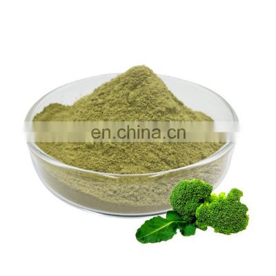 Best Selling Products Bulk Broccoli Extract Powder