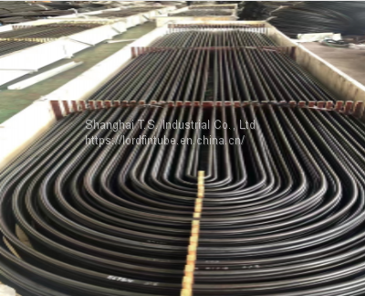 U Bend ASTM A556 Feedwater Heater Tubes