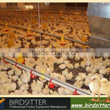 Ready Sale chicken poultry shed design