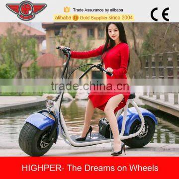 800W Brushless Adult Electric Scooter, 2 Wheels Electric Motorcycle