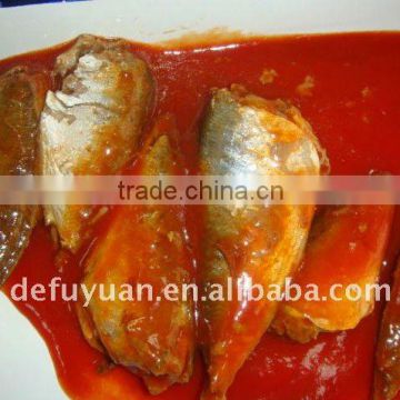 Popular sale canned sardine in tomato sauce