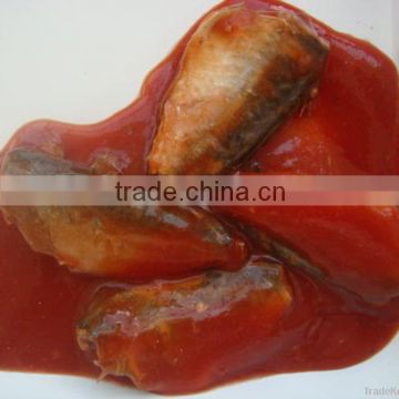Canned mackerel in tomato sauce company export fish