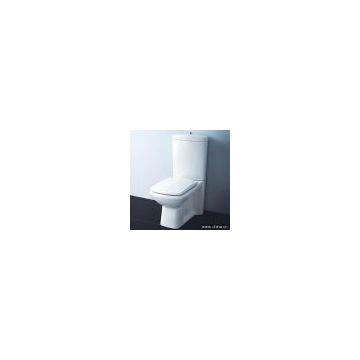 Washdown Close-coupled Toilet HDC235