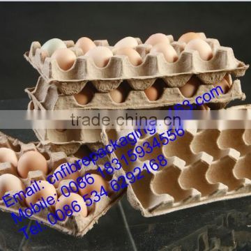 degradable molded paper pulp egg tray factory