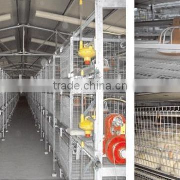Hot Galvanized hen / layer cage equipment for chicken house