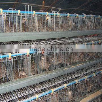 6 tires 400 automatic quails cage one side/6 tiers two sides 800 quails cages