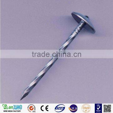 Galvanized roofing nails price made in China