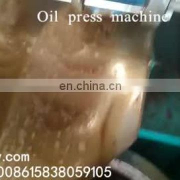 Hydraulic nut olive oil press machine