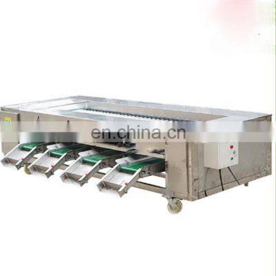 potato apple sizer machine