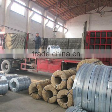 Xintai Hua Reed competitive galvanized steel strip