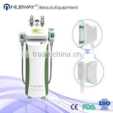 Hottest fat freeze slimming ultrasonic cavitation vacuum anti-freeze cryolipolysis