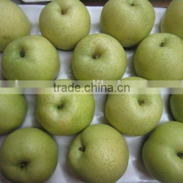 2014 crop shandong golden pear with high quality