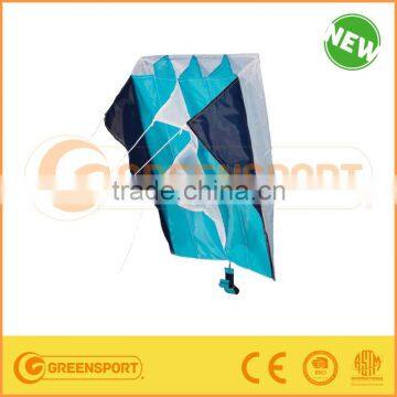 Sell Well Kite with colorful printing
