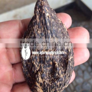 Sinking Agarwood chips - New stock with number one Oud Wood or Gaharu