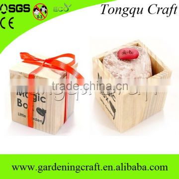 wholesale bonsai plants magic message beans with wooden box
