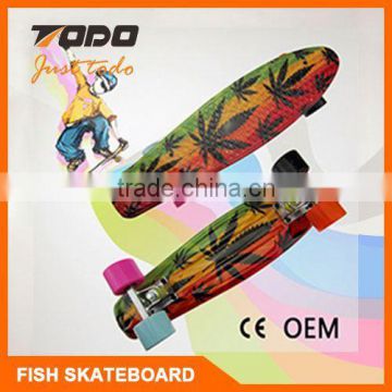 custom complete mini fish cruiser skateboard