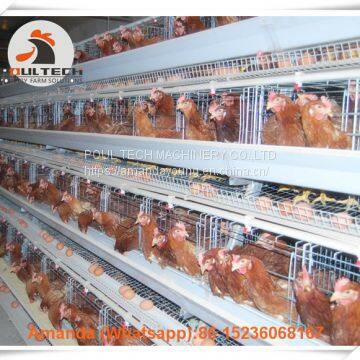 Chicken Farm Automatic Egg Hen Chicken Cage & Layer Cage & Hen Cage with 90-200 birds in Chicken Shed Sale in Libya