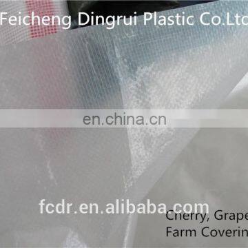 cherry and grape orchard roof rain cover tarpaulin, transparent HDPE tarp