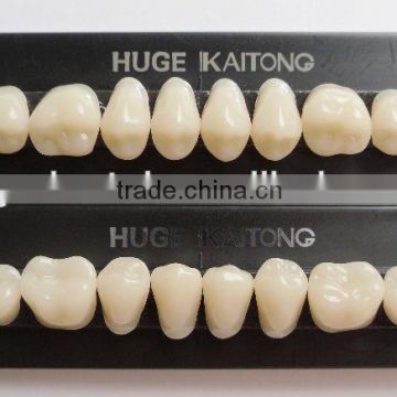 KAITONG 2 layers acrylic teeth