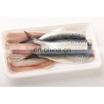 Head off clean frozen sardine fish fillet for export