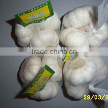 Pre-packed Pizhou Garlic