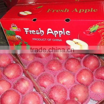 2014 Crop Chinese fresh Fuji apple in best qualtiy
