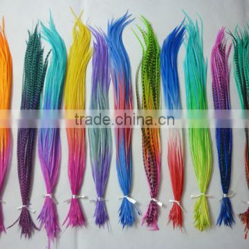 whole sale price ombre real rooster feather sale in alibaba