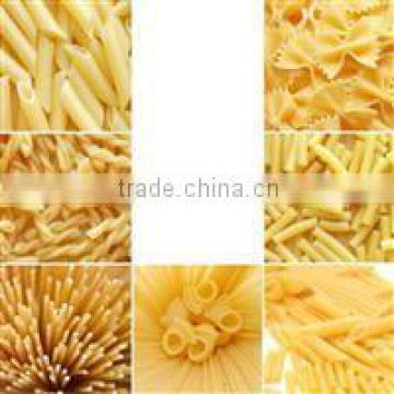 Automatic Macaroni Pasta/ Itlian Pasta/ Spaghetti Pasta Food Production Line +86-0531-15964515336