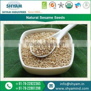 100% Cleaned Natural White Sesame Seeds for Export