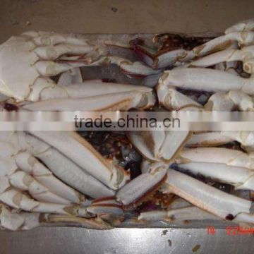 swimming crab seafood
