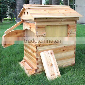 New style honey flow bee hive box with flow frame