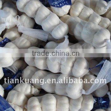2011 china export garlic