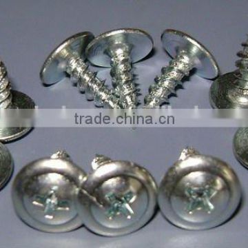 Alibaba China Supplier phillips white truss head self tapping screw