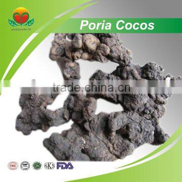 Best Seller of Poria cocos