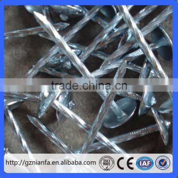 2016 Hot sale Galvanized Umbrella Head Roofing Nail/BWG9X2.5"roofing nail(Guangzhou Factory)