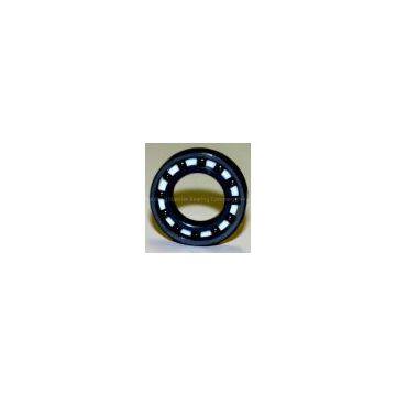 Ceramic Bearing