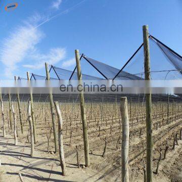 Customized 100% HDPE apple tree anti hail net for agriculture