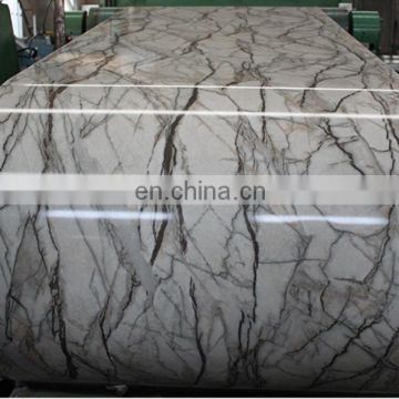 Good Quality New Technique prepainted Galvanized Steel Coil Z100/cold rolled steel sheet in coil nice discount