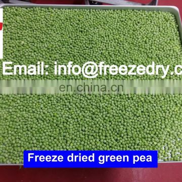 CE Certificate Vacuum Freeze Dryer For Food