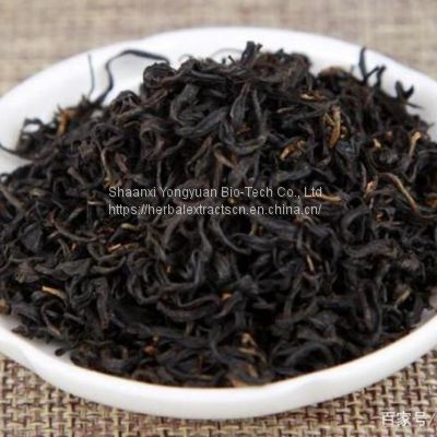 Black Tea Extract, Theaflavin 20%, Camellia sinensis Extract 10:1, Black tea powder,  Yongyuan Bio
