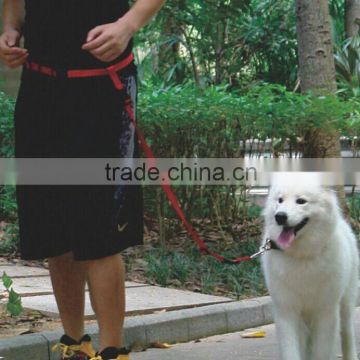 luxury sports dog running leash