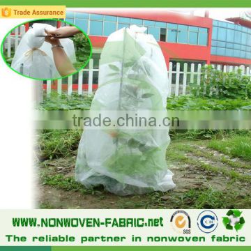 Spunbond Nonwoven Fabric/ PP Nonwoven Fabric Price for Plant Cover