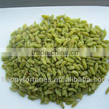 Green Raisins/Green Sultana Raisins/