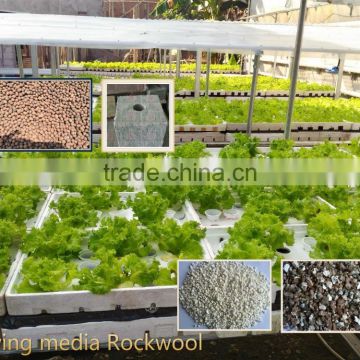 Agricultural rockwool cube for seedling