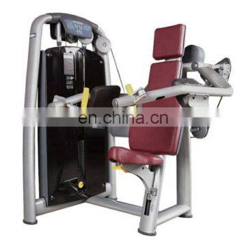 Factory Directly Sale Strength Equipment Delt Machine Commercial Gym