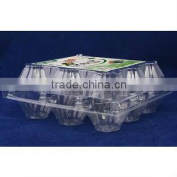 plastic egg container,PET egg packing tray,clear egg box,9 cavities