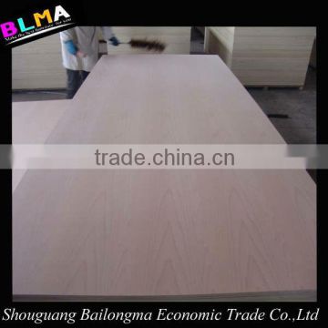 veneer plywood sheet from China