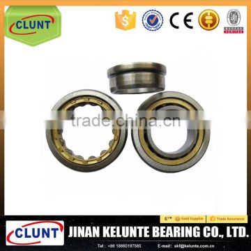 Hydraulic cylinder bearings N315M & roller bearings N315M